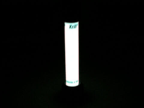 Krill Lamp 冷光燈