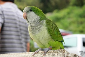 新竹尖石美樹營地 @定點露營