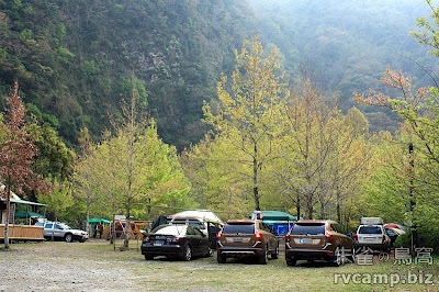 新竹尖石美樹營地 @定點露營