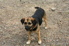 新竹尖石美樹營地 @定點露營