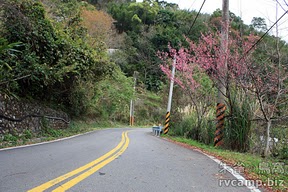 新竹尖石美樹營地 @定點露營