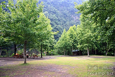 新竹尖石美樹營地 @定點露營