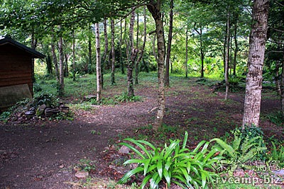 新竹尖石美樹營地 @定點露營