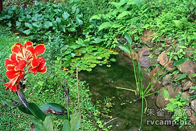 新竹尖石谷嘎的家 @營地探勘